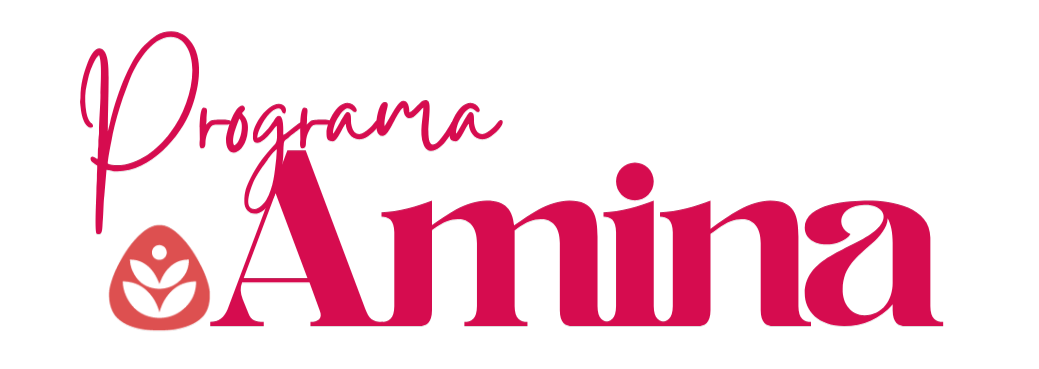 Programa Amina